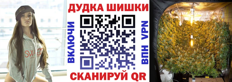 цены наркотик  Городец  Канабис SATIVA & INDICA 
